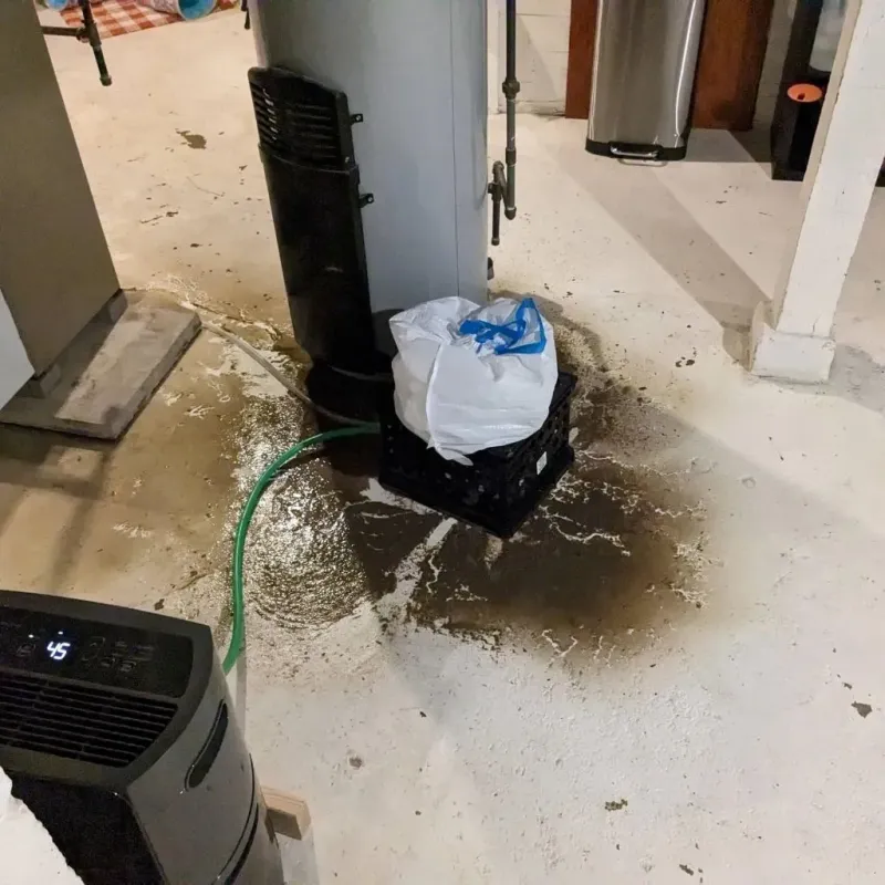 Sewage Backup Cleanup Service in Petersburg, AK
